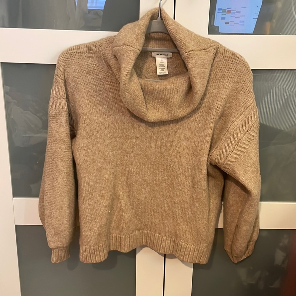 Max studios tan turtleneck sweater